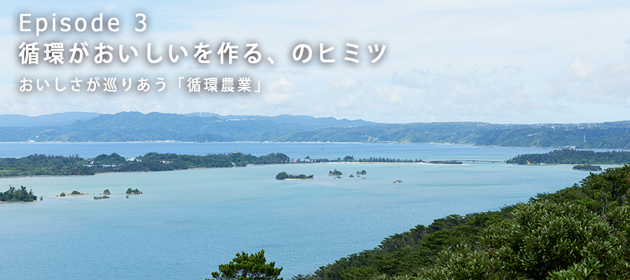青く広がる沖縄の海