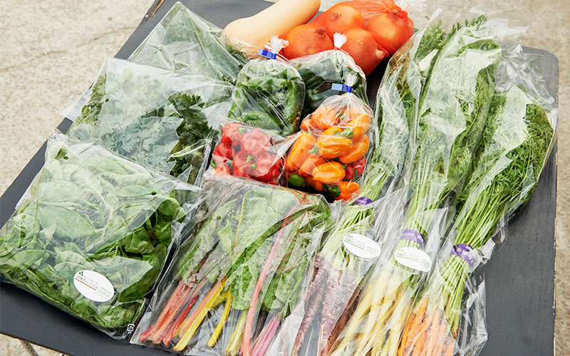 フレッシュグループ淡路島で直売している野菜ボックスの中身。グループ内のそれぞれが作った個性的な野菜をセットにしています
