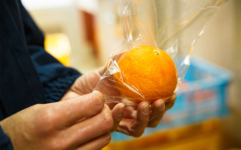 透明な袋に入った柑橘。見た目は普通ですが、ただの袋じゃありません