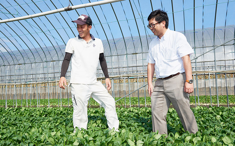 小松菜の生育を見る上田さんと木村さん