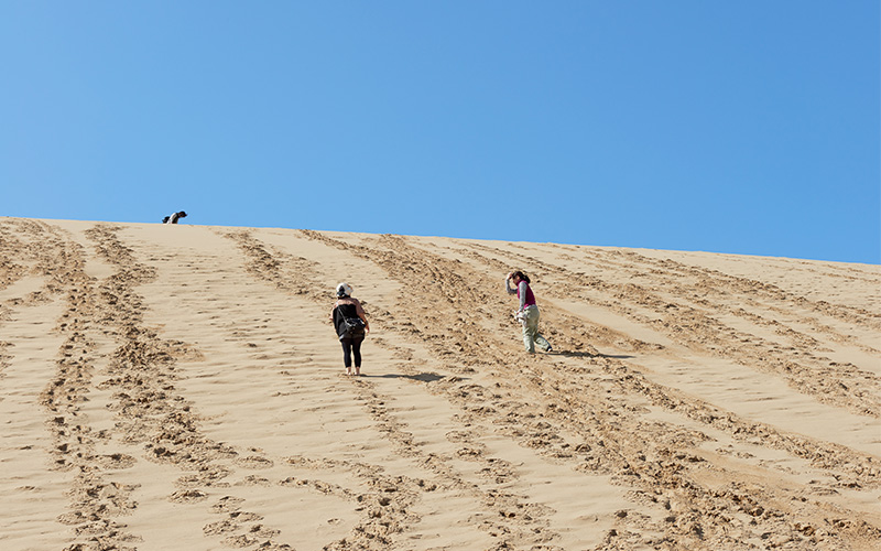 足跡がたくさん続くとても急な壁のような砂丘